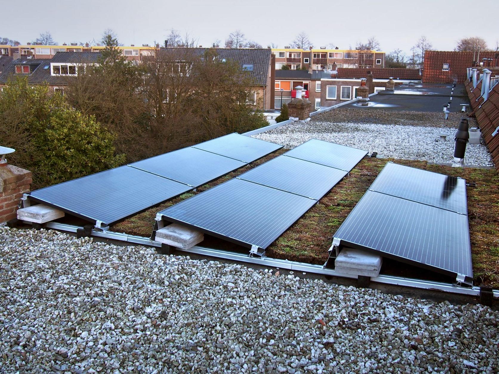 gecombineerd dak met zonnepanelen en groendak